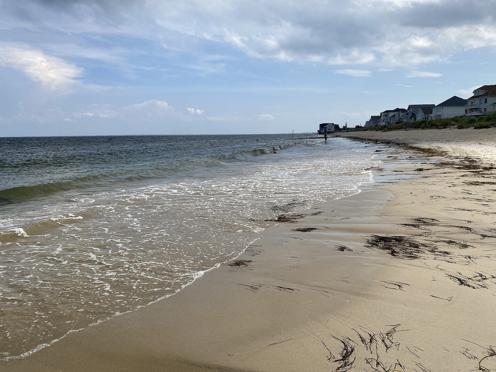 Salt Ponds Public Beach - Hampton - Virginia - 2022-07-07