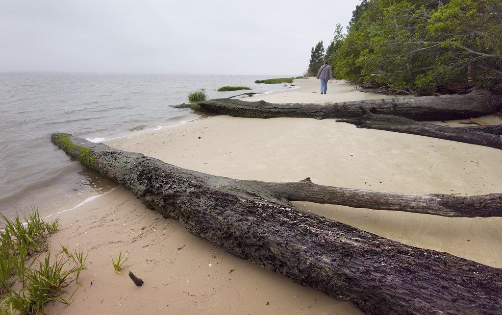 York River State Park - James City County - Virginia ..... (cell)