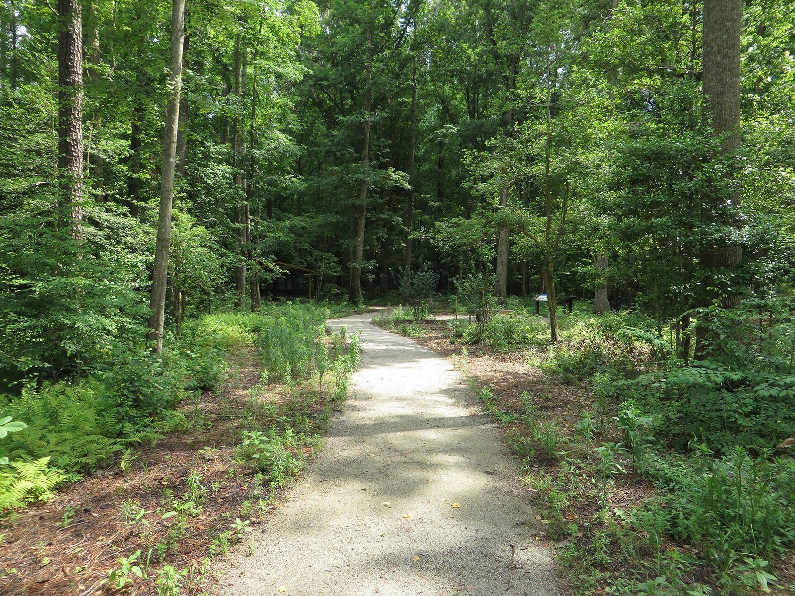 Fort Nonsense, Mathews County, Virginia (14299506228)