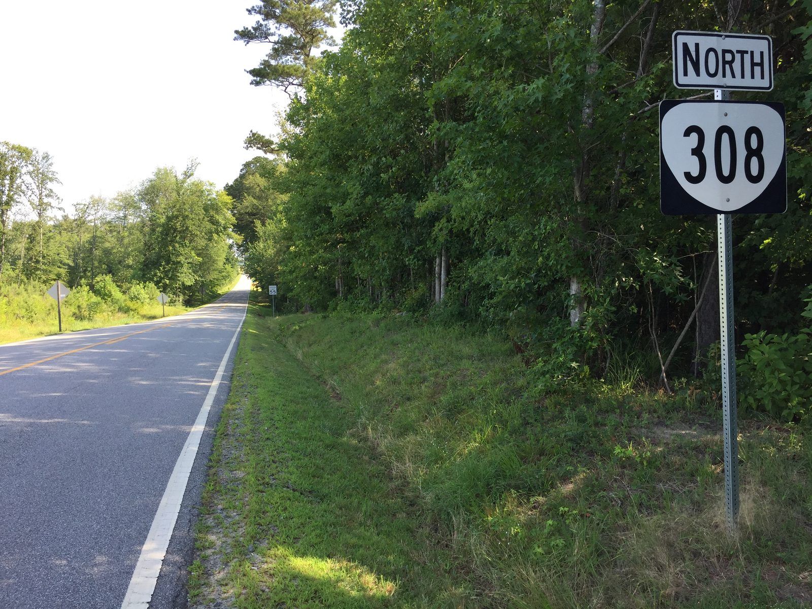 2017-07-13 09 54 37 View north along Virginia State Route 308 (Three Creeks Road) at U.S. Route 58 (Southampton Parkway) in Angelico, Southampton County, Virginia